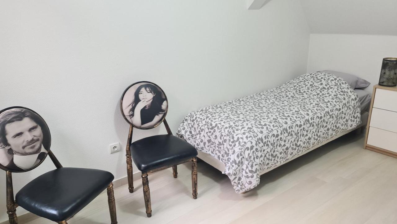 Selestat Entre Colmar Et Strasbourg Appartement Buitenkant foto
