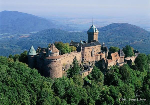 Selestat Entre Colmar Et Strasbourg Appartement Buitenkant foto